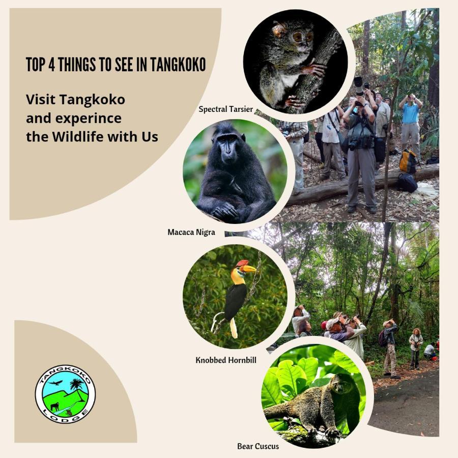Tangkoko Lodge ビツン エクステリア 写真