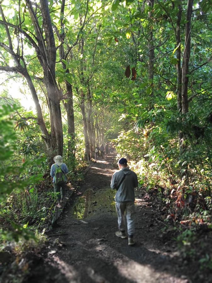 Tangkoko Lodge ビツン エクステリア 写真